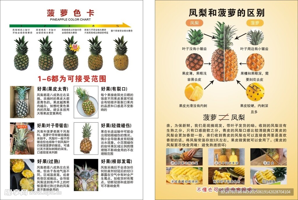 凤梨和菠萝的区别