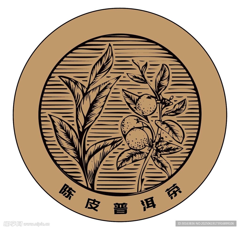 陈皮包装封面线描矢量图