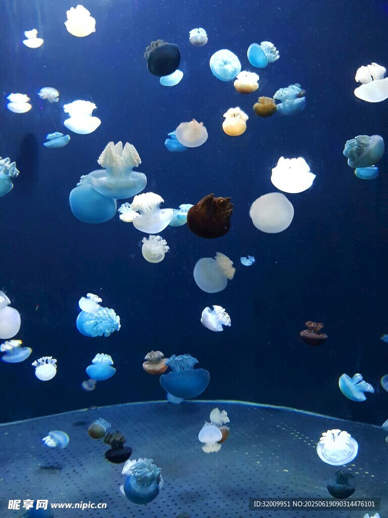 梦幻漂浮彩色水母景观