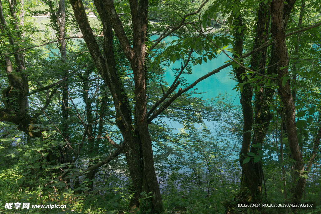 林间湖畔美景