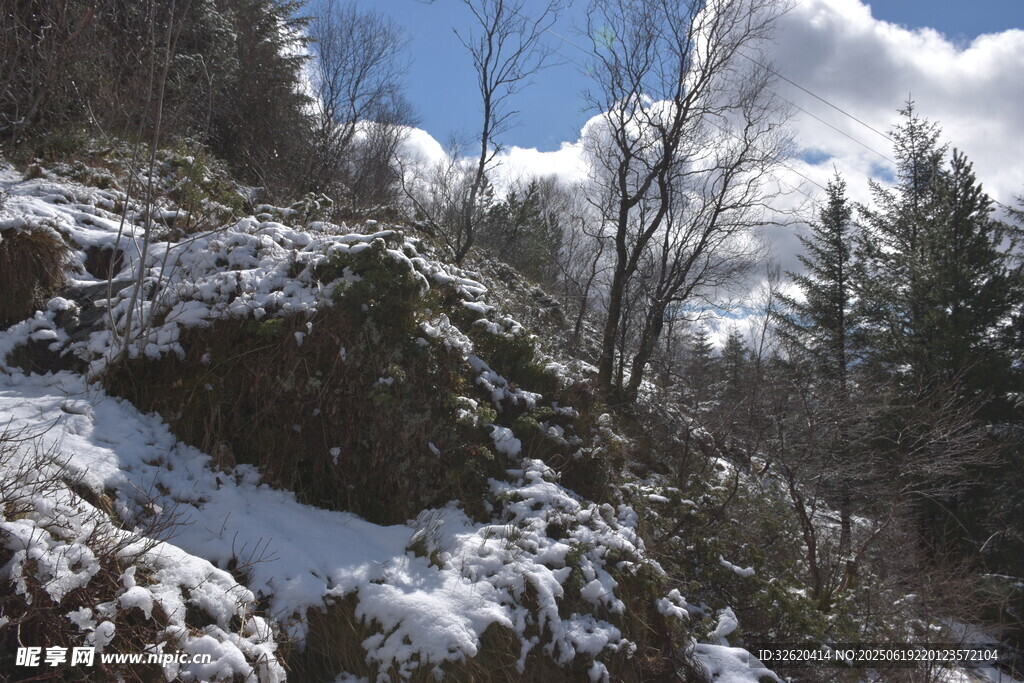 雪覆山林景致