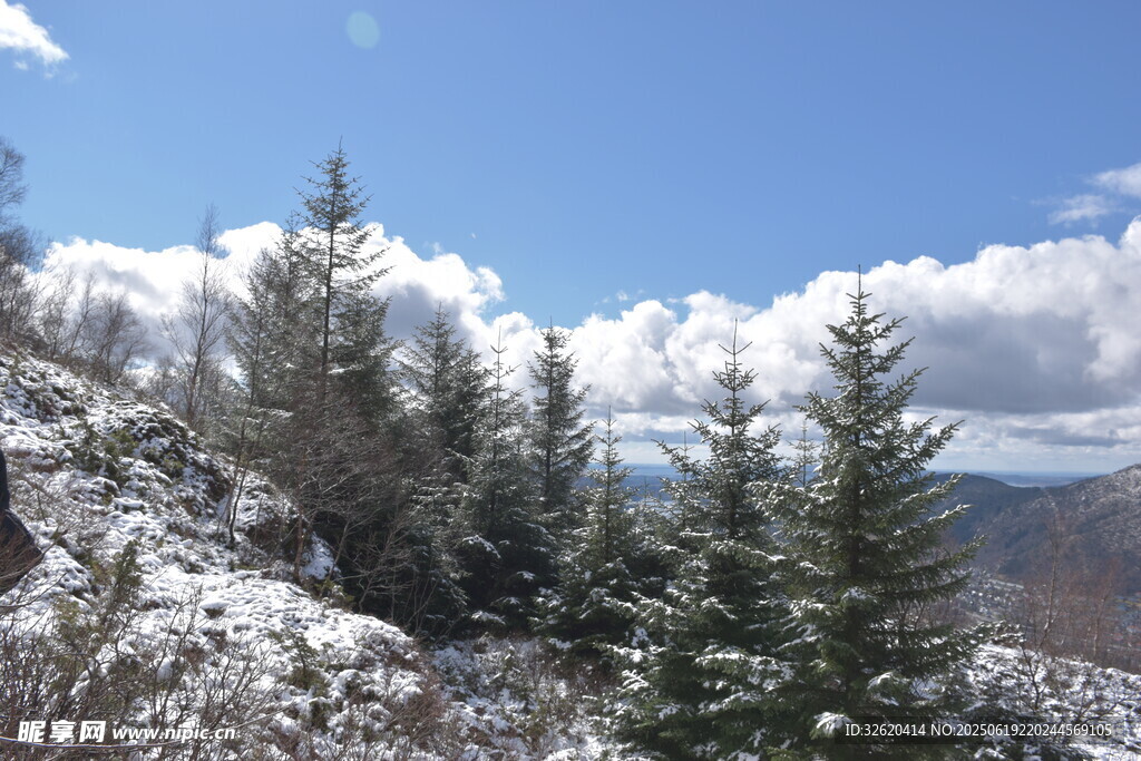 雪覆山林的壮美自然景观