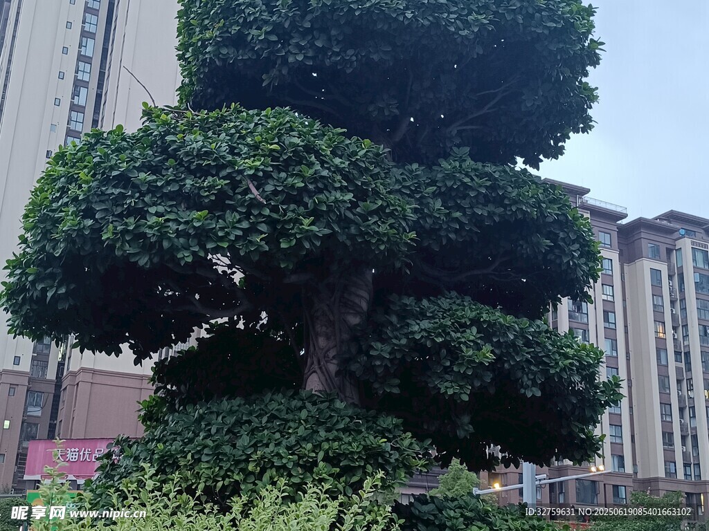 造型独特的多层绿植景观