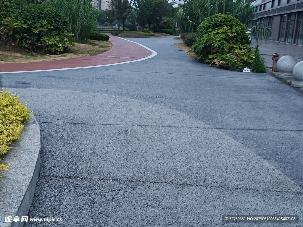 弯曲的柏油小路景观