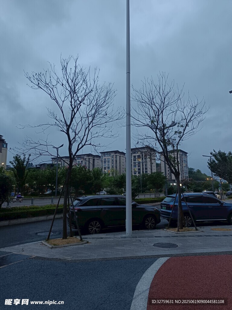 阴天街道旁的树木与车辆