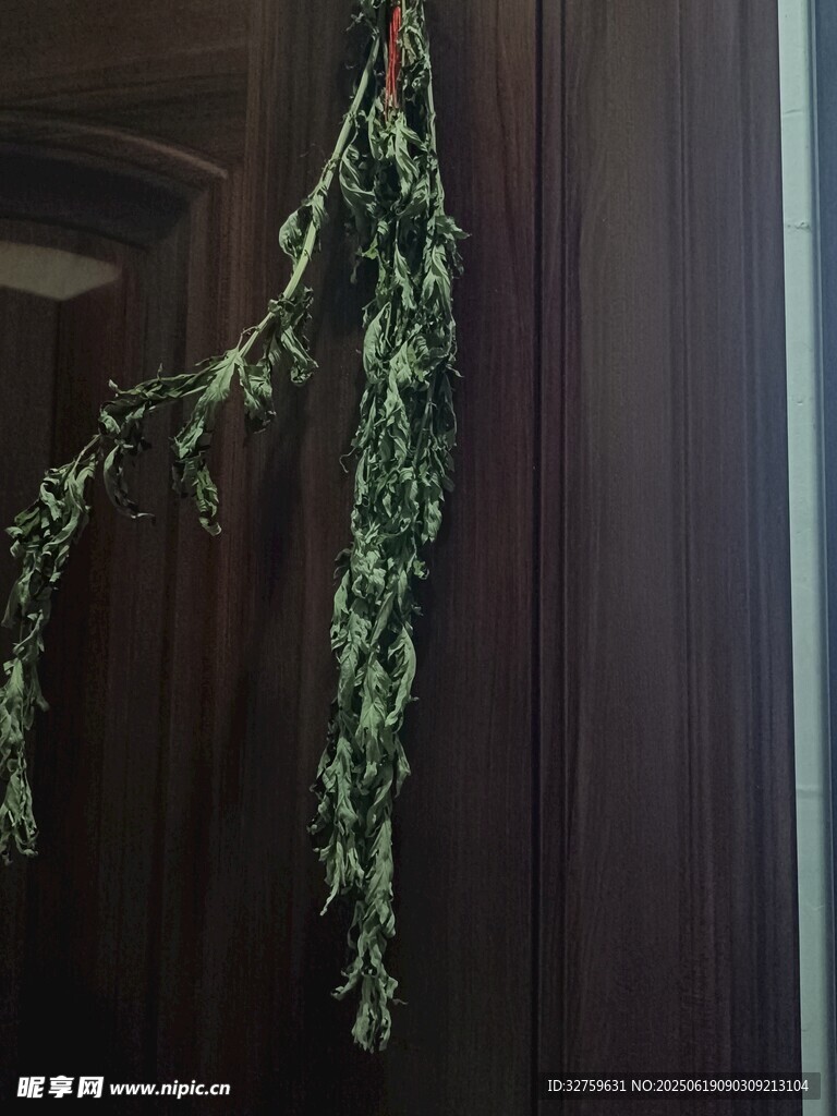 悬挂的翠绿植物枝条