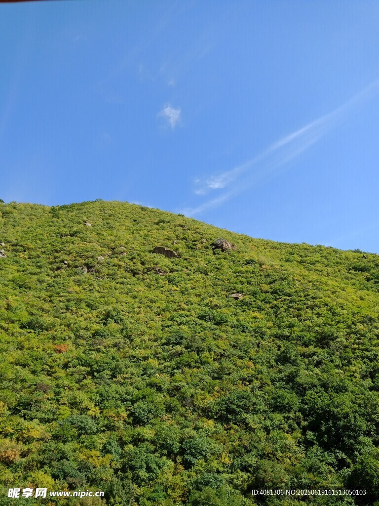 翠绿山坡蓝天相伴