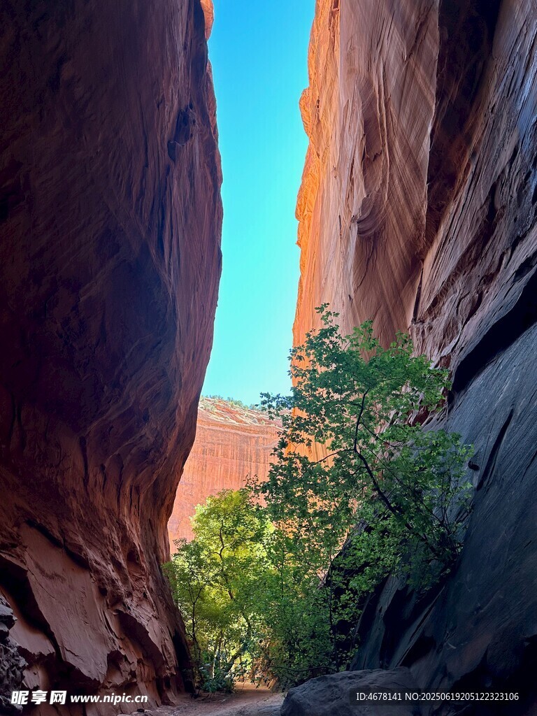 峡谷间绿意点缀的壮丽景观