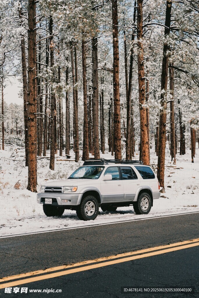 雪地林间的银色SUV