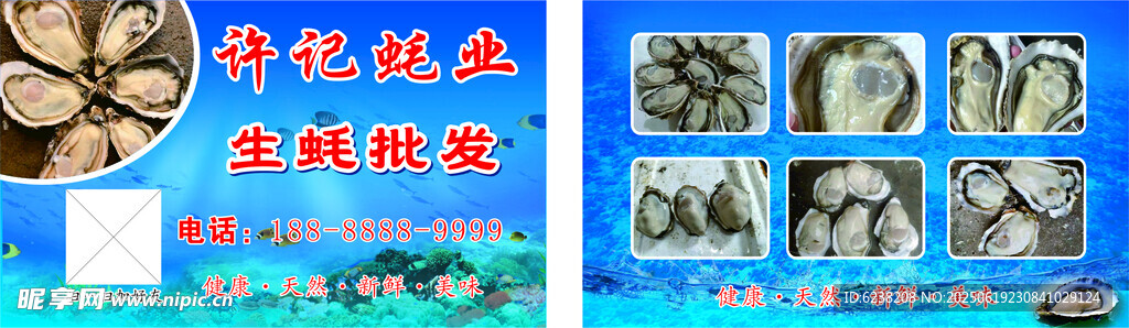 生蚝名片