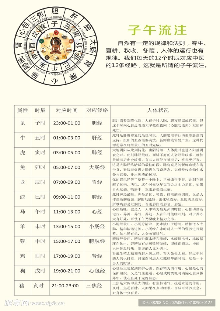 子午流注表