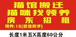 猫馆搬迁招领养