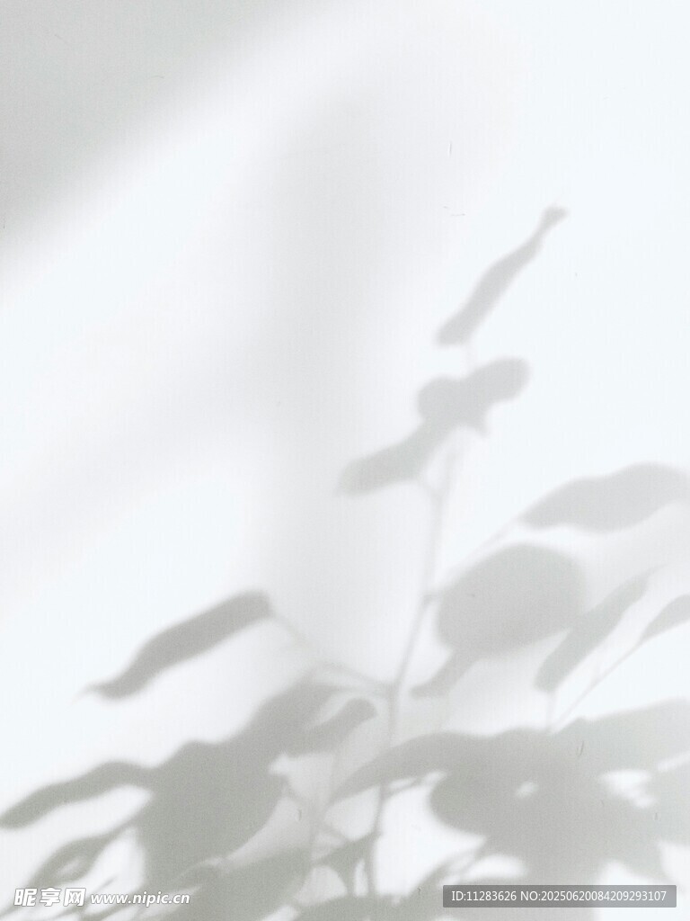 植物光影剪影