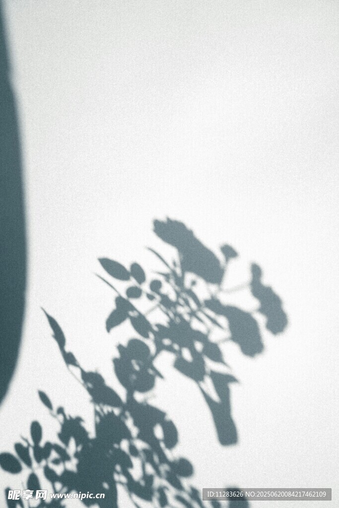 树叶光影下的静谧景象