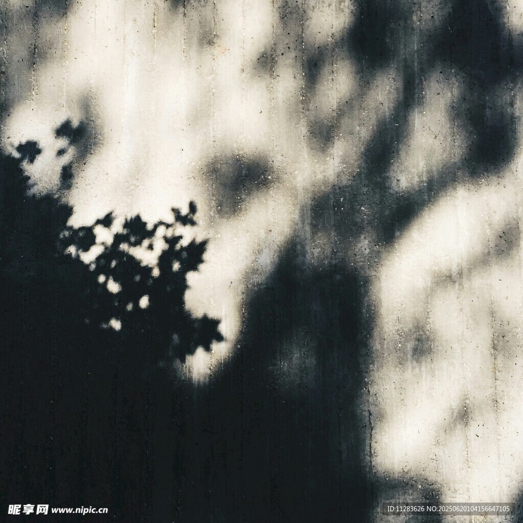 光影交织之美