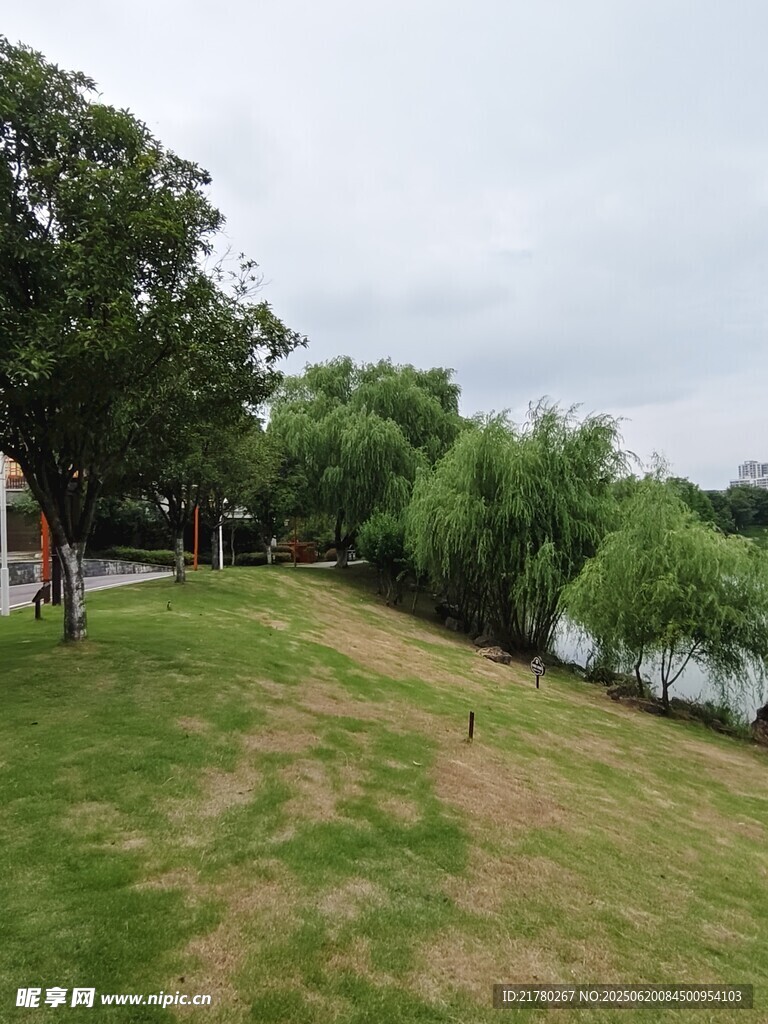湖畔草地风景