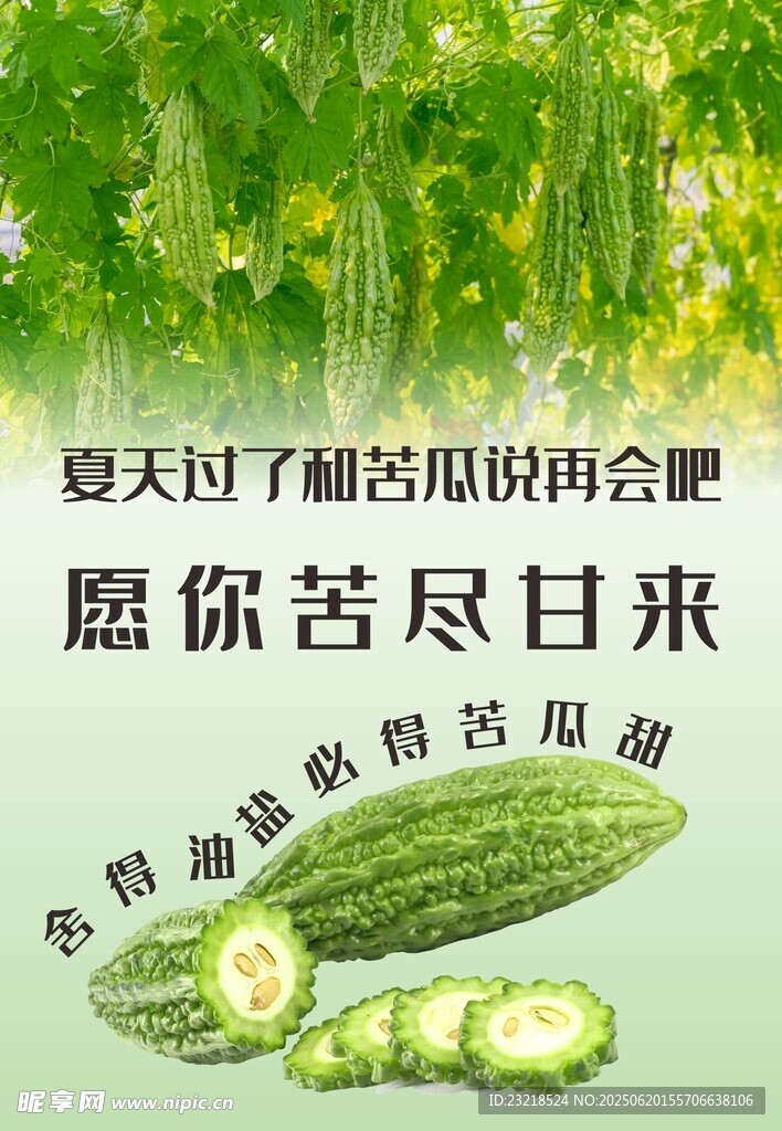 苦瓜