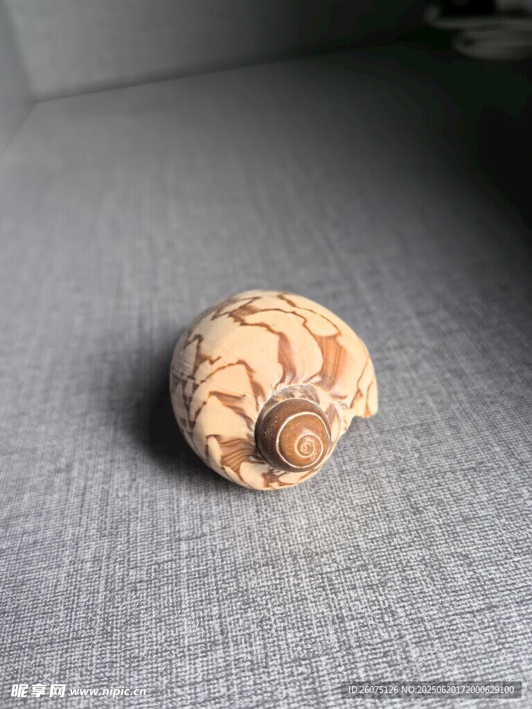 木质雕刻蜗牛摆件
