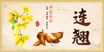 连翘