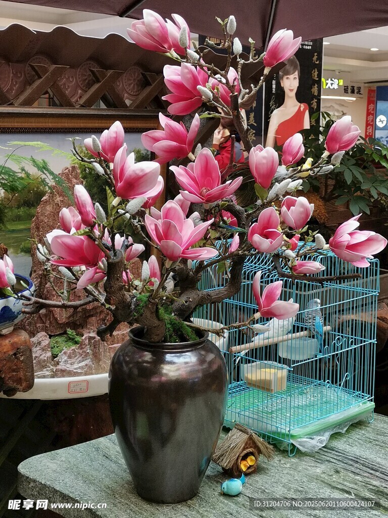 花瓶中绽放的娇艳玉兰花