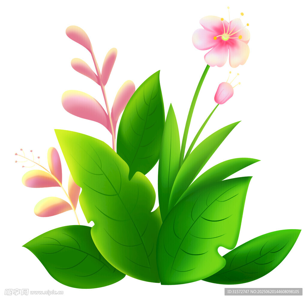 绿植花朵插画