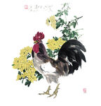 国画雄鸡伴菊图