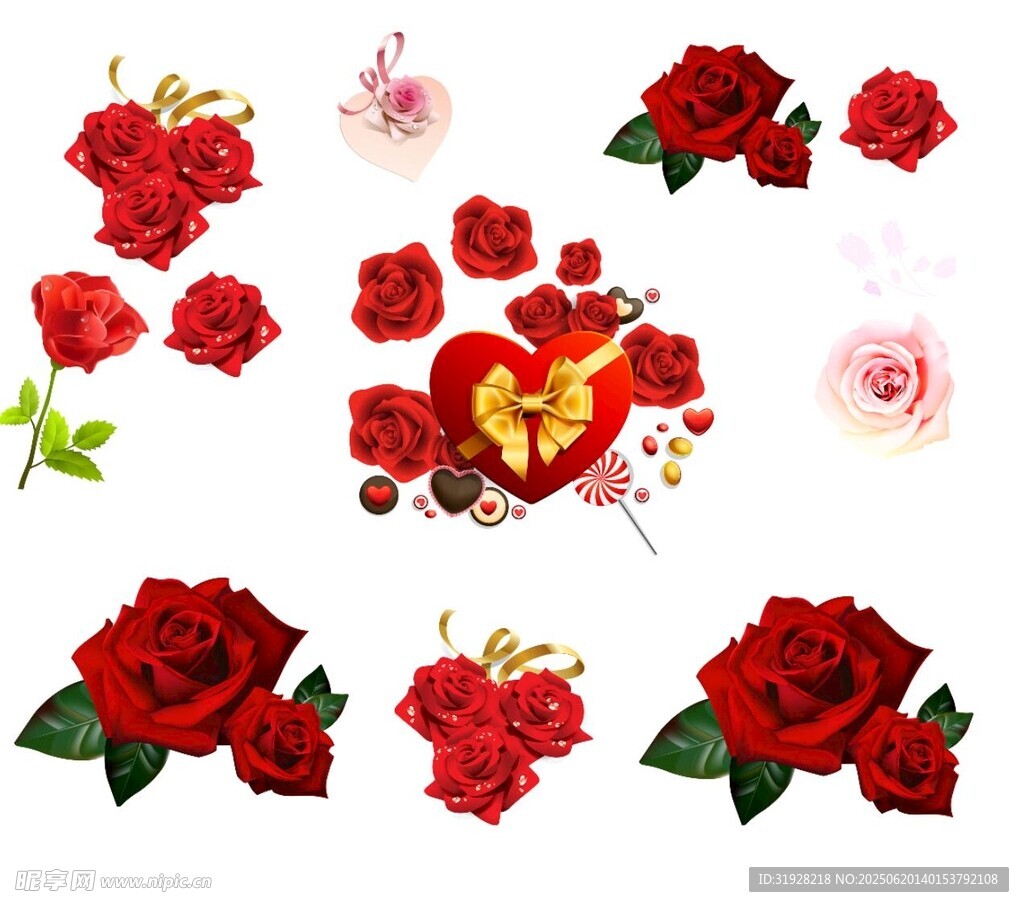 玫瑰花