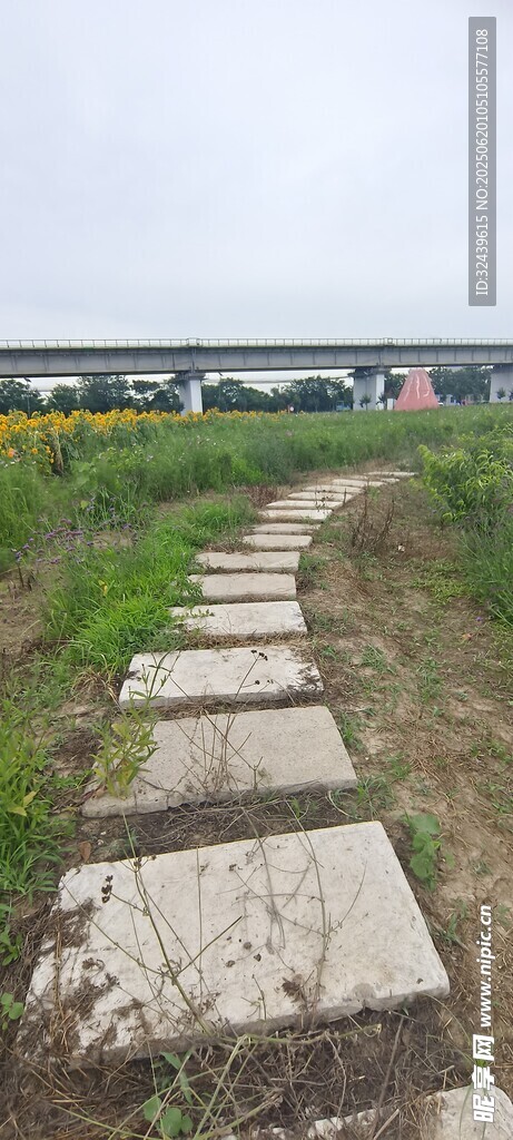 乡间石板小径 