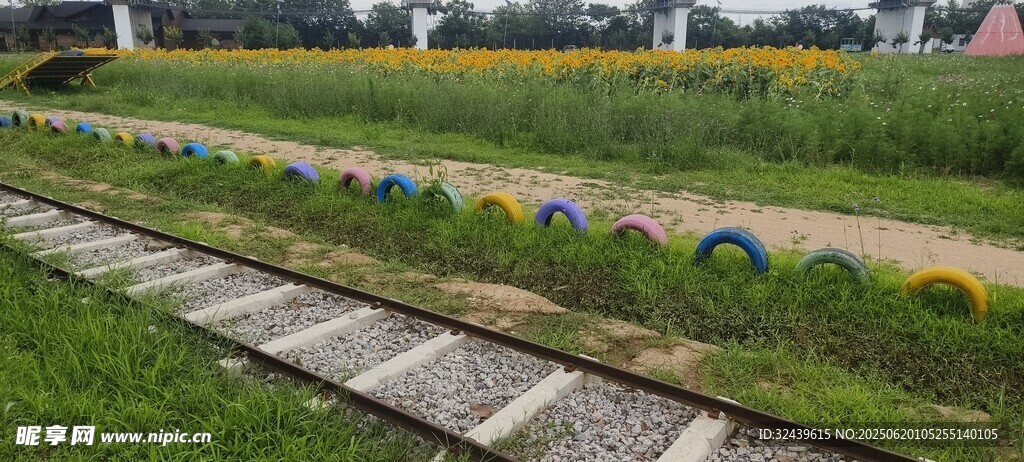 彩色步道旁的田园风光