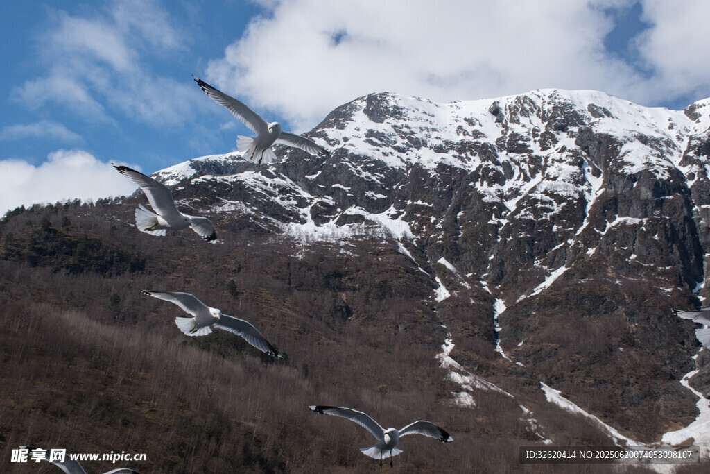雪山壮丽风光