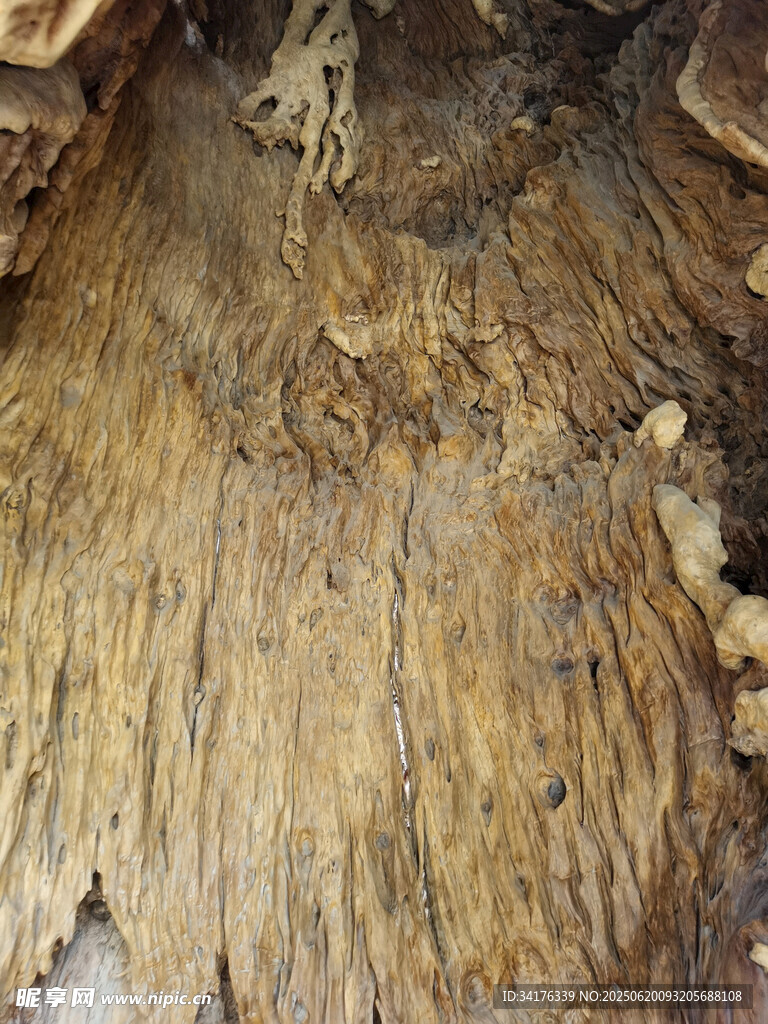 木纹