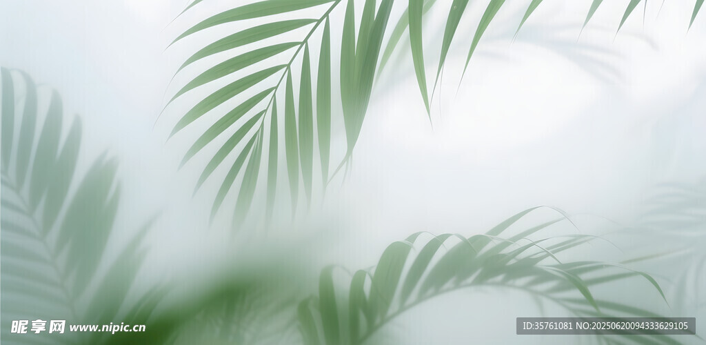 雾气磨砂膜效果绿植贴图