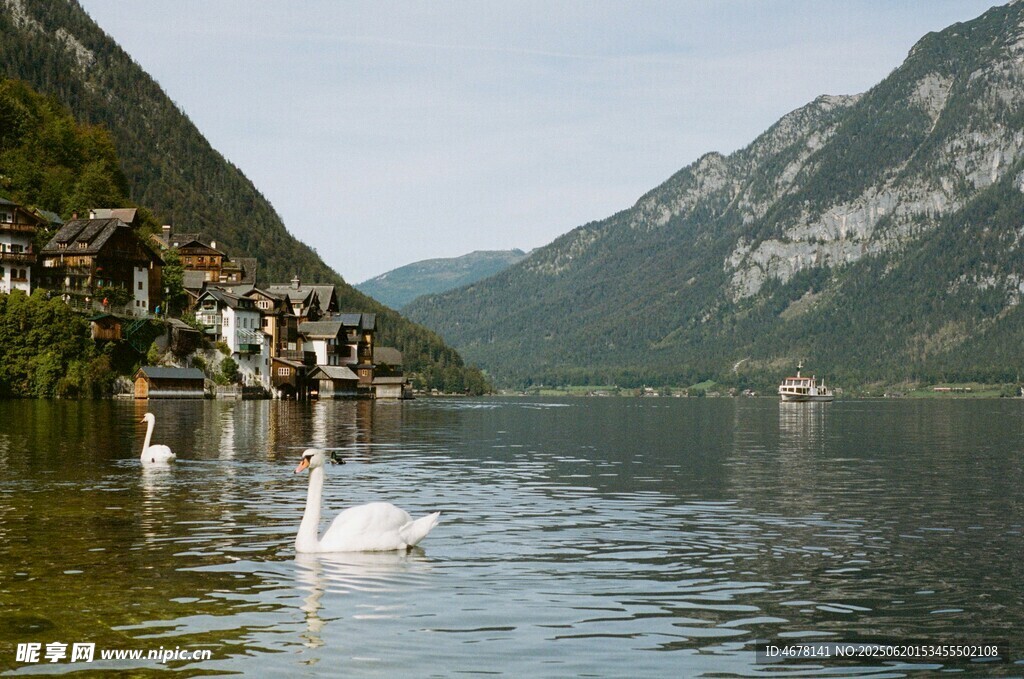湖畔天鹅与山间小镇美景