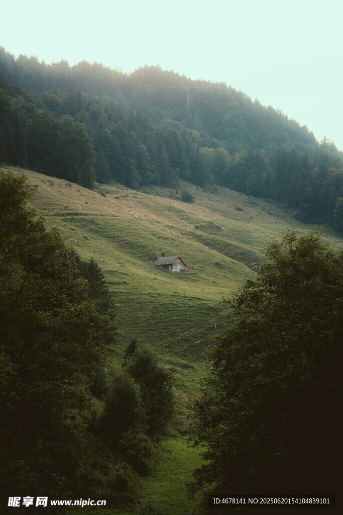 山间绿野中的静谧小屋