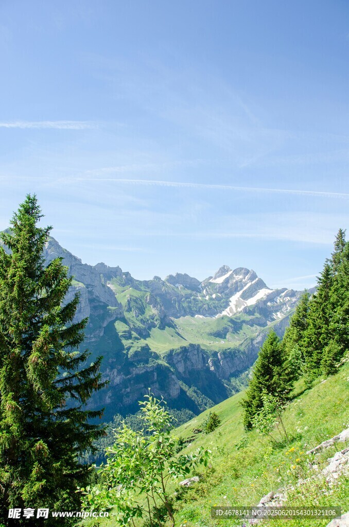 山间葱郁美景