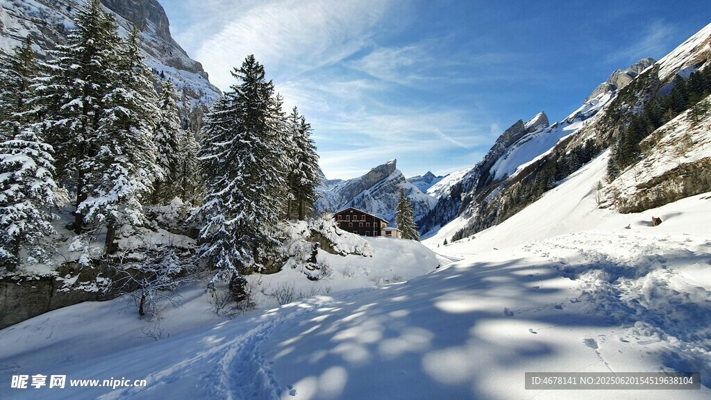 冬日雪山林间美景