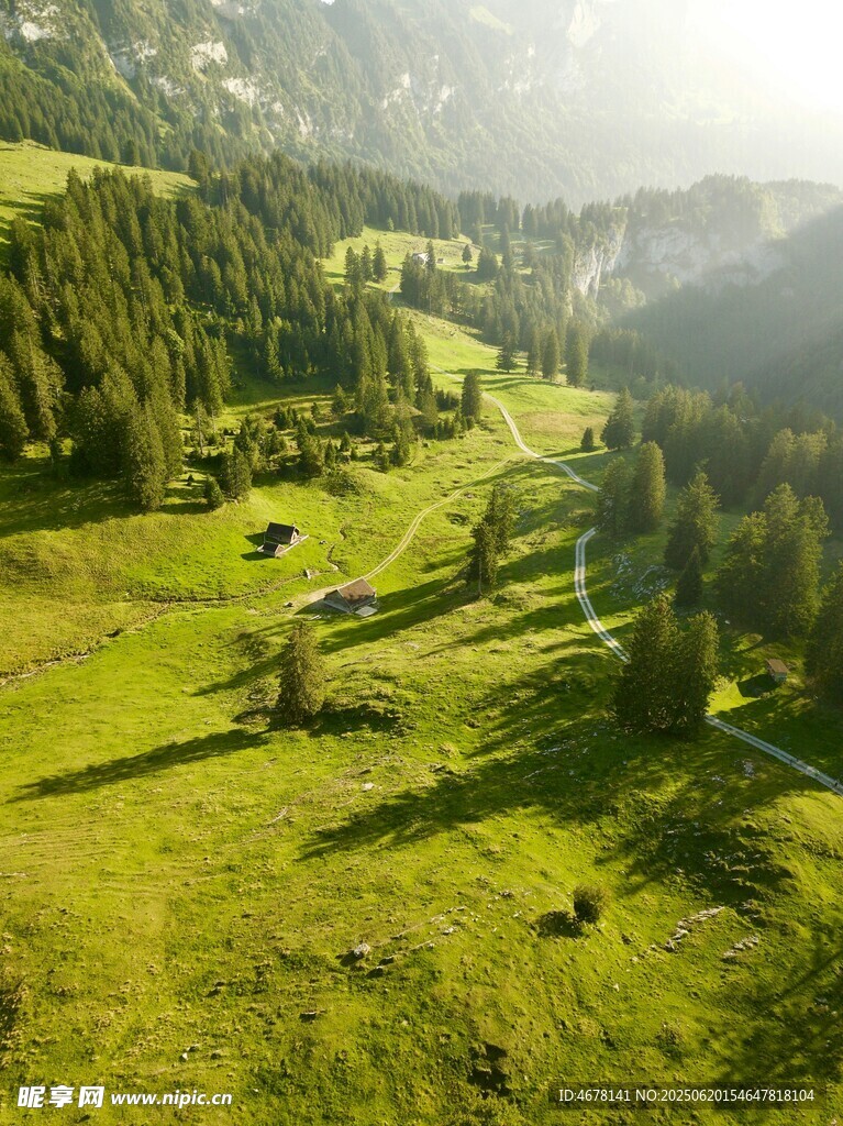 山间绿野牧场景色