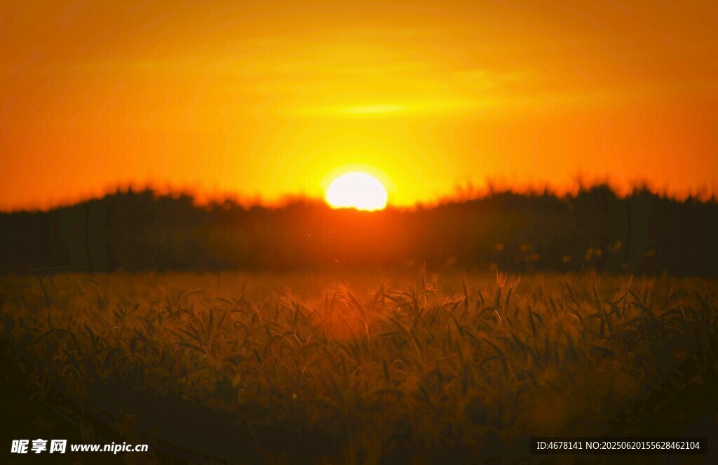 夕阳下的田野美景