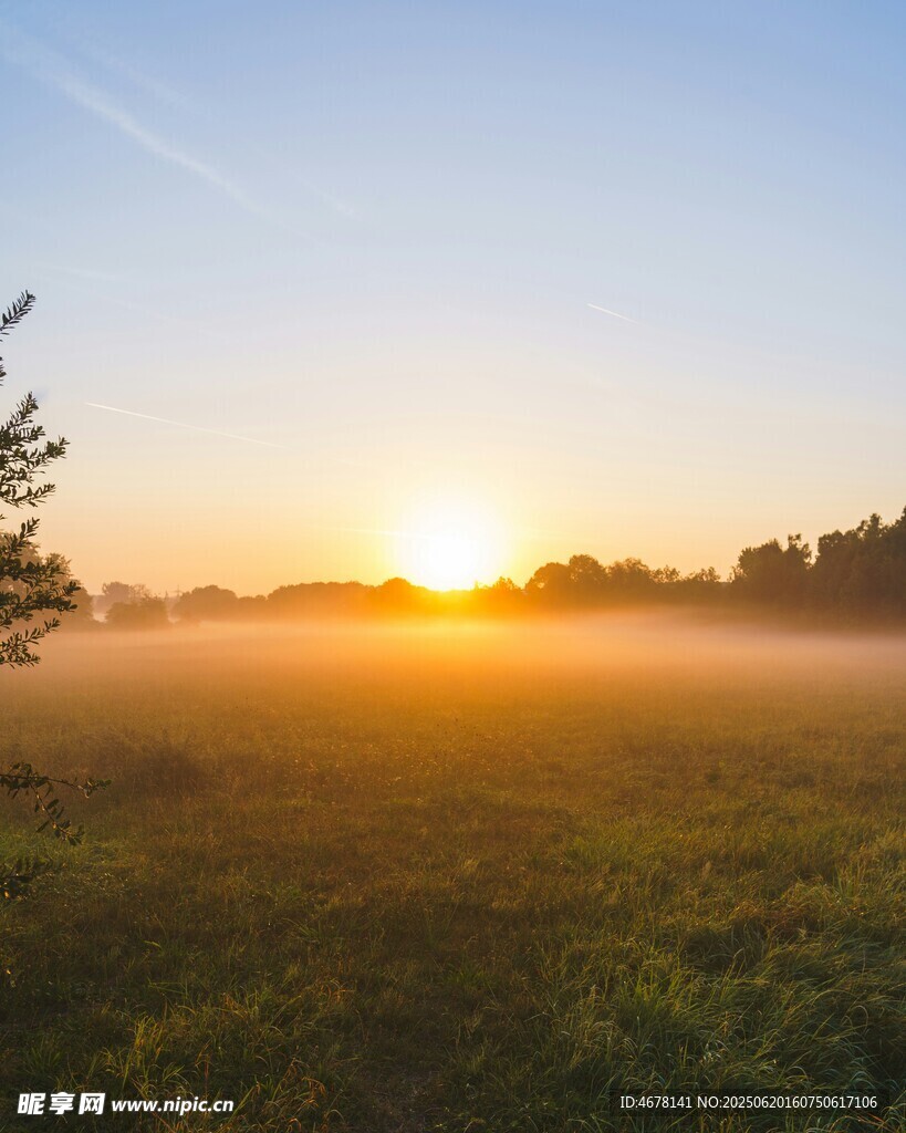 日出时分的草地与晨雾美景