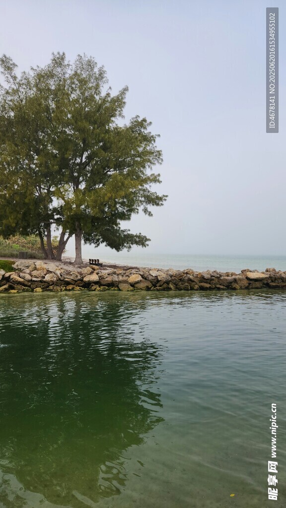 宁静湖边绿树倒映水面
