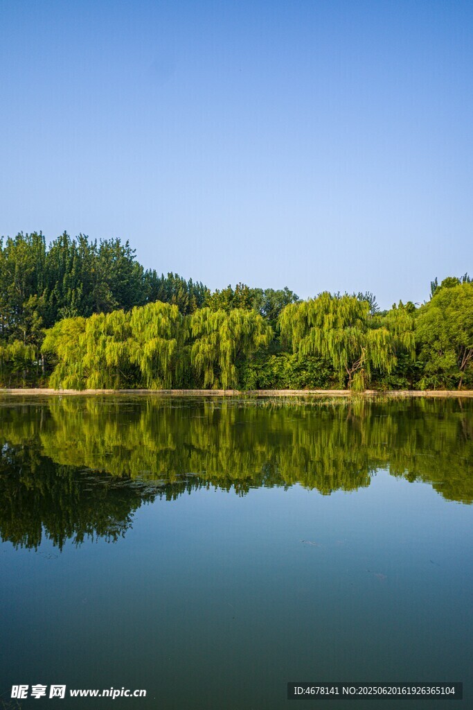宁静湖畔绿树倒影美景
