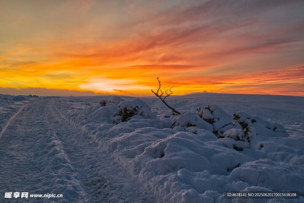 雪地夕阳美景