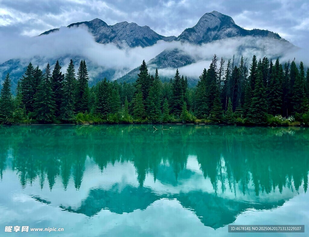 湖光山色中的静谧森林美景