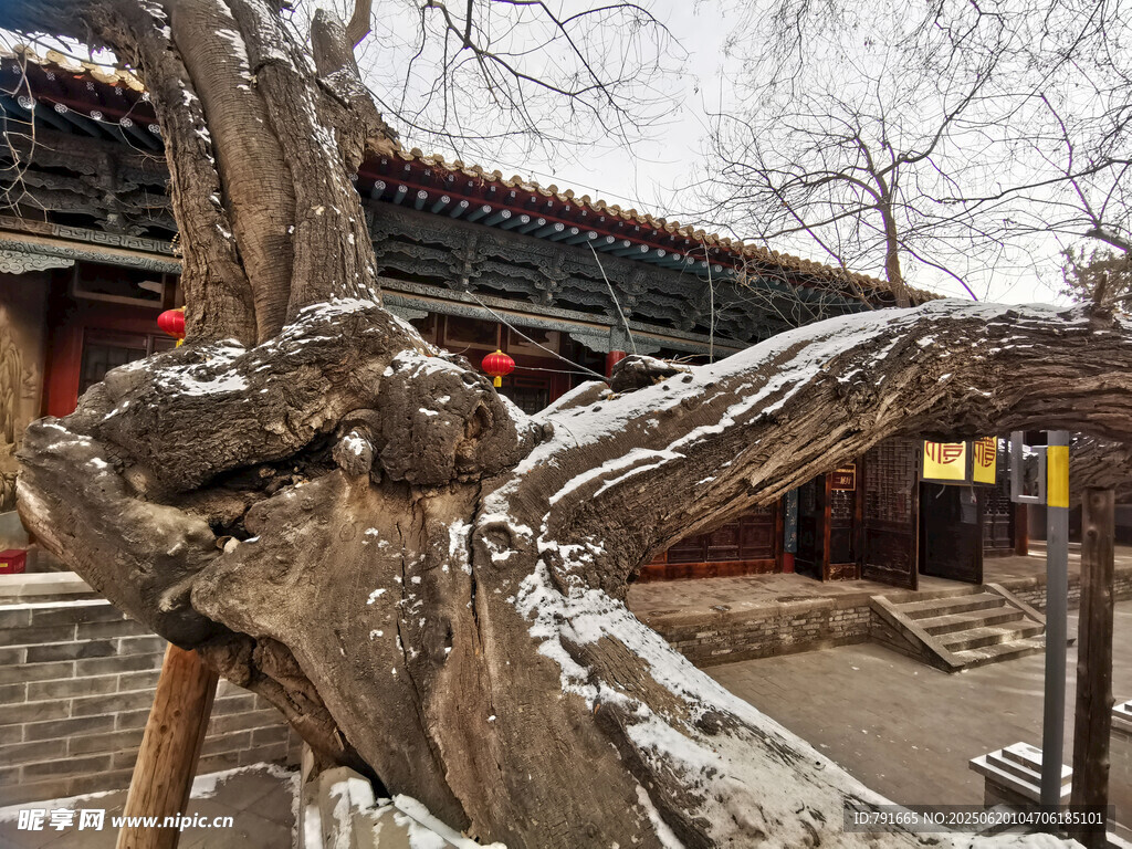 古树枝桠下的中式雪景