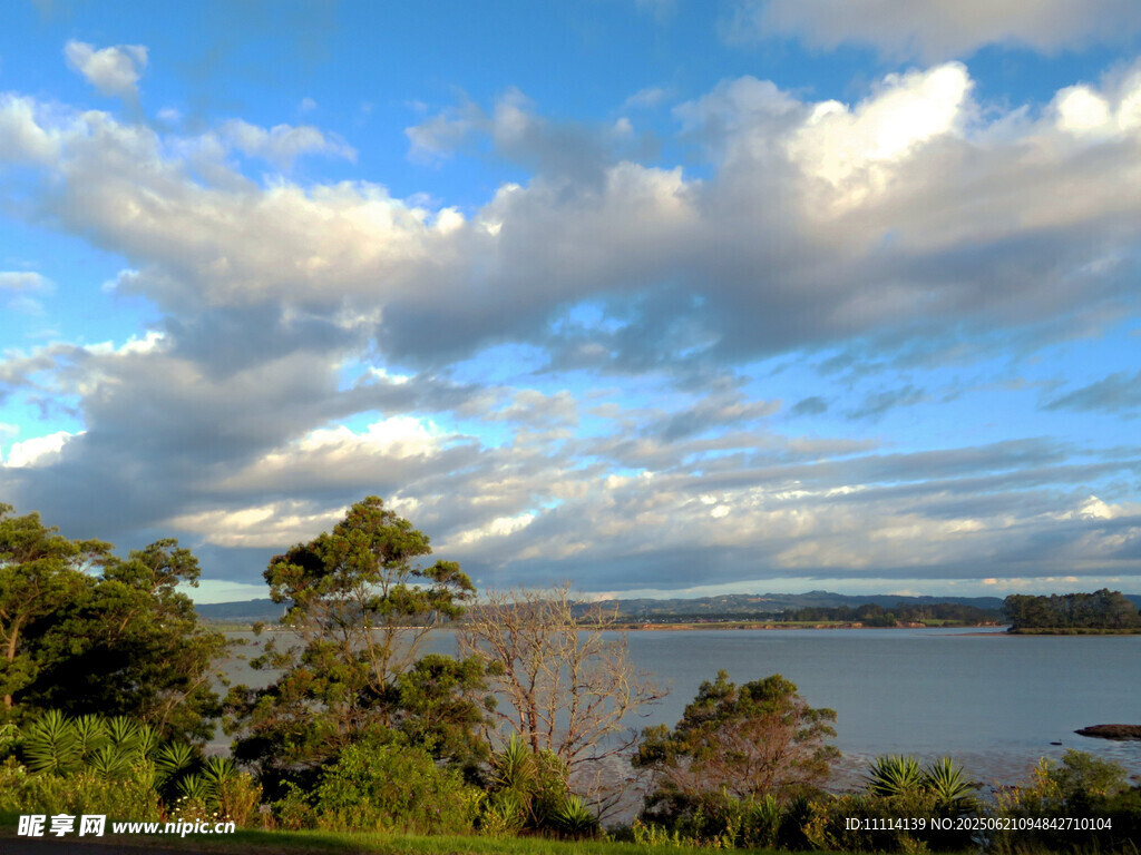 海滨蓝天绿树美景