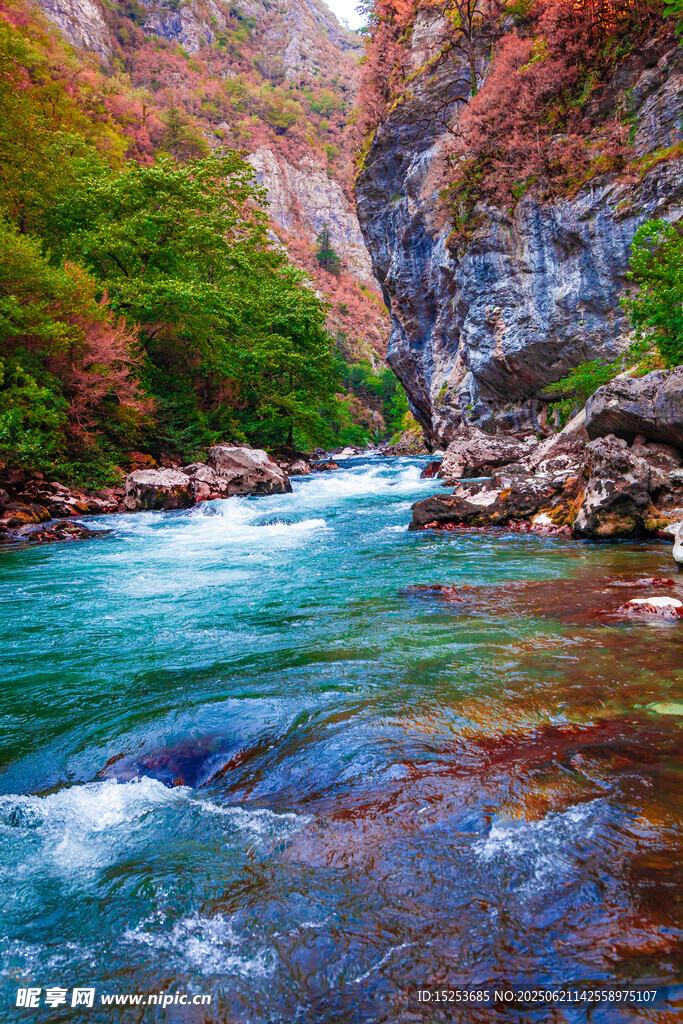 山间溪流秋色中的灵动美景