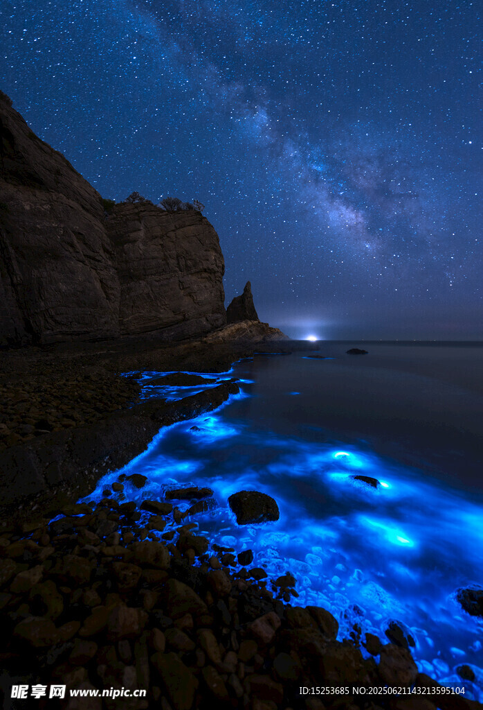 蓝眼泪海滩夜景奇观