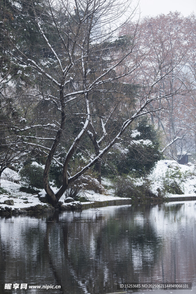 雪覆湖畔景静谧冬韵浓