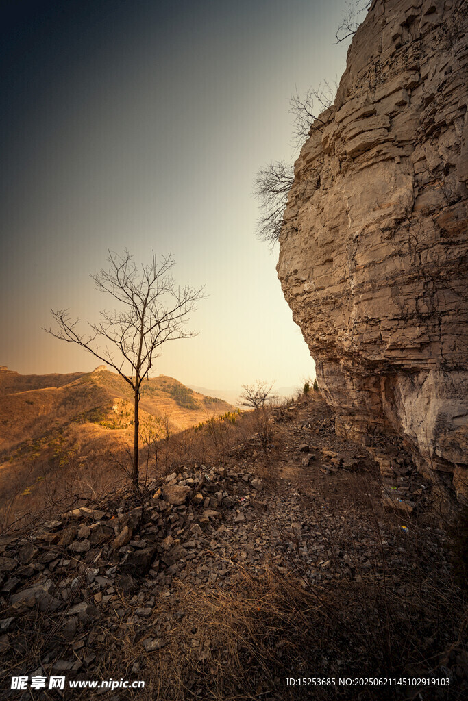 夕阳下孤树与嶙峋岩壁