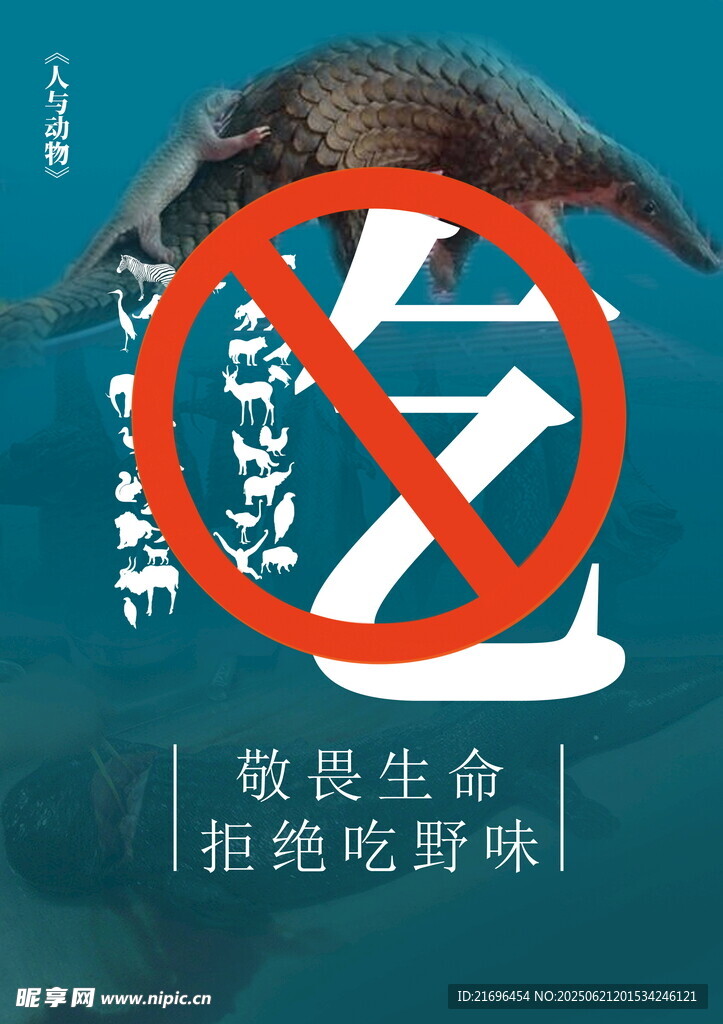 拒绝吃野味敬畏生命